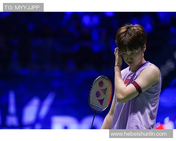 羽毛球力量排名新突破杭州羽毛球队展现卓越实力与创新精神